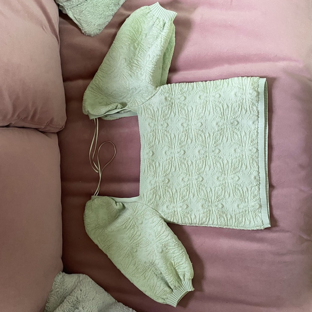 Zara sage puff sleeve top. (Cropped)